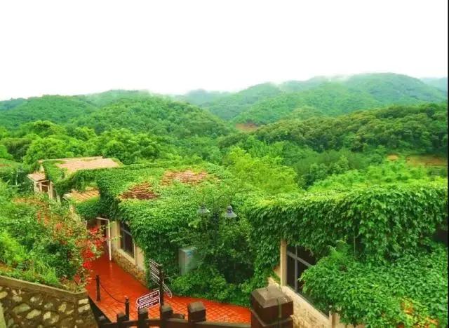 广州从化崴格诗温泉打卡,崴格诗温泉旅游