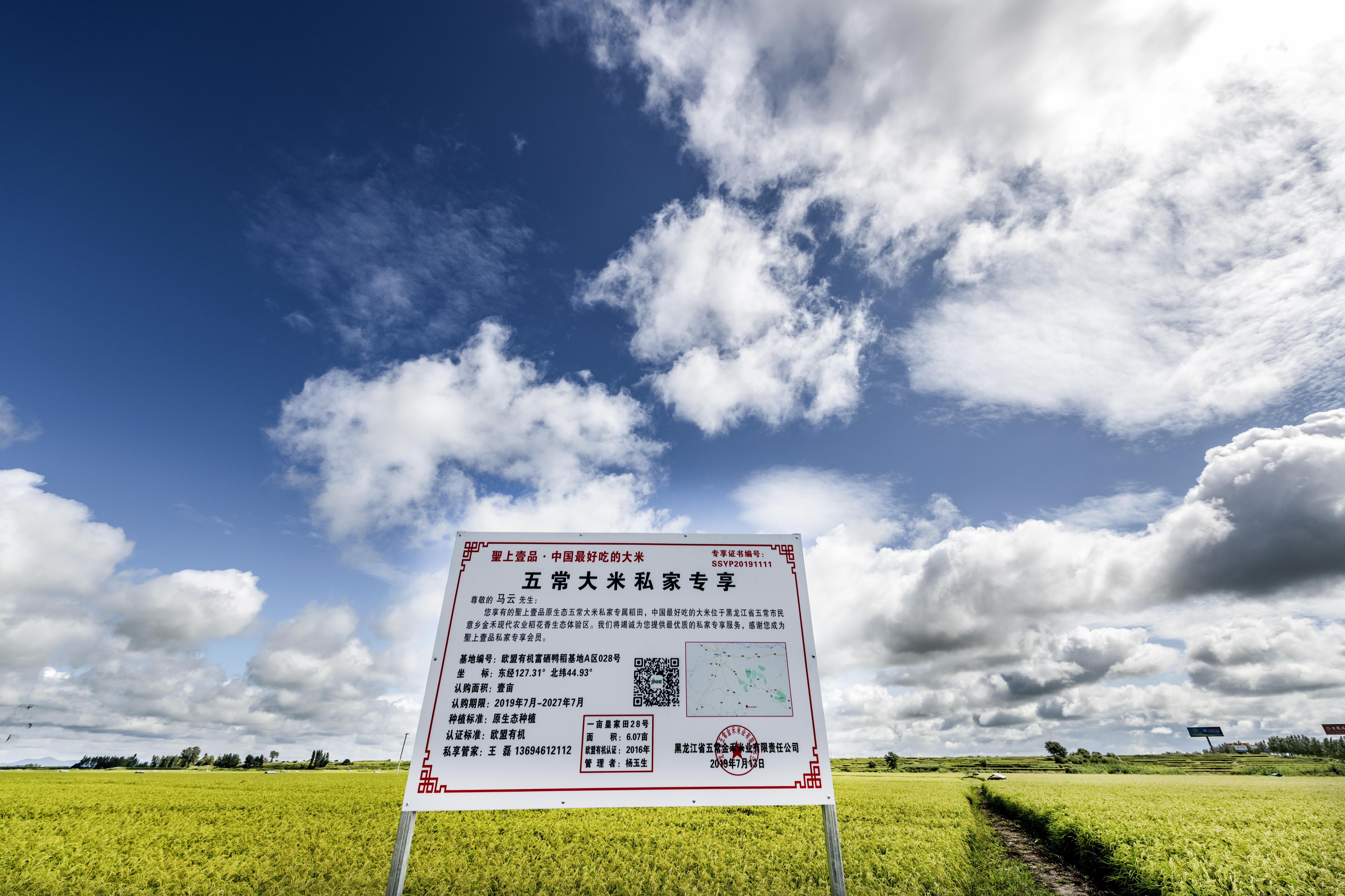 托朋友买东西发现是假货,代购代销各地大米