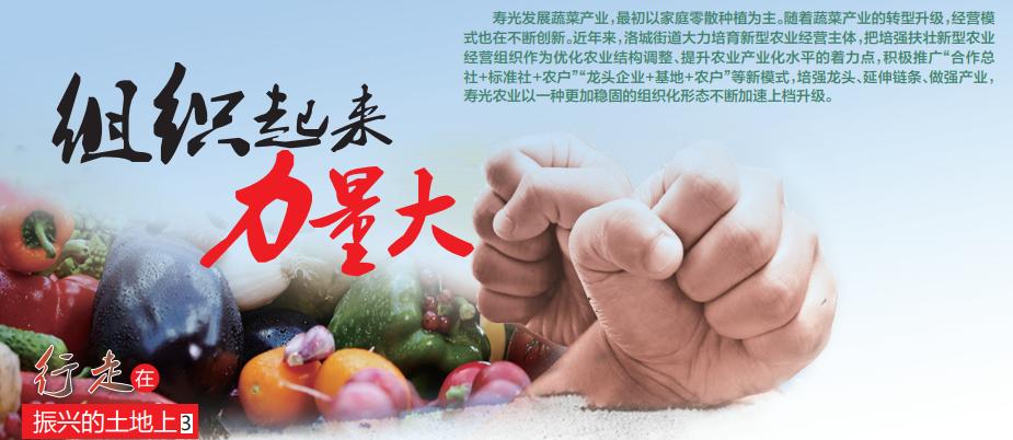 组织起来力量大是电视剧插曲吗,组织起来力量大歌词