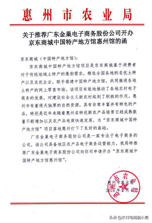 广东金巢电子商务股份公司发展历程和简介