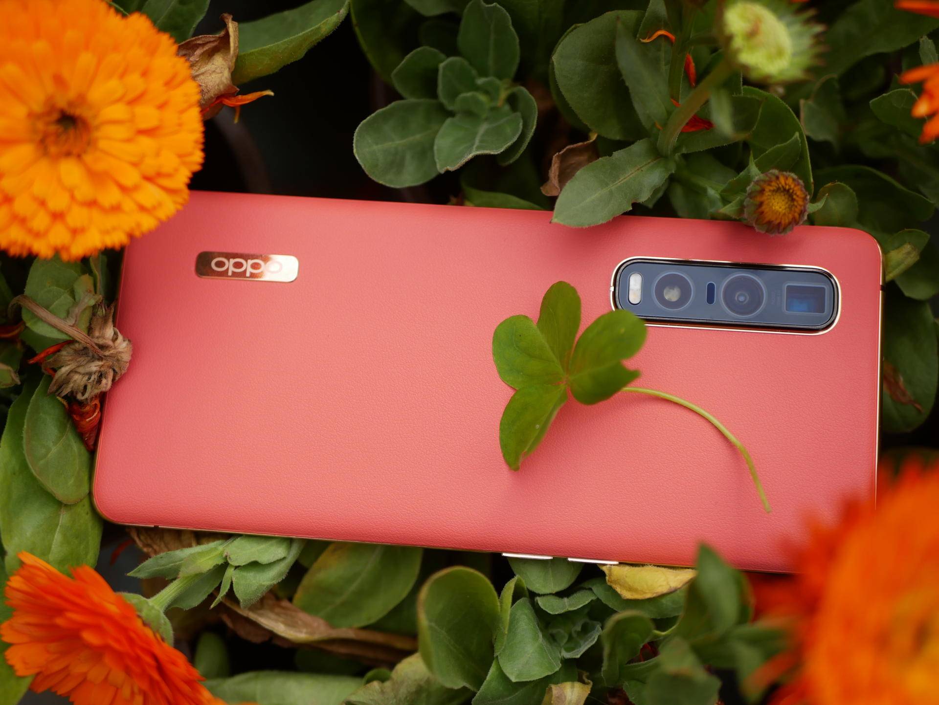 findx2pro什么价格,findx2pro发售价