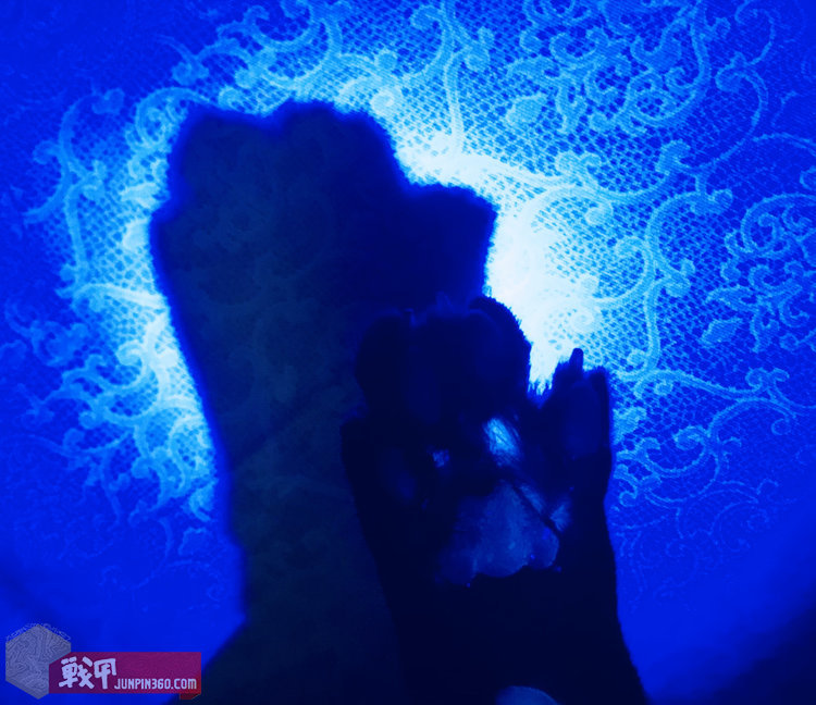 猫猫健康探照灯——纳丽德Dr.K3UV伍德灯简评