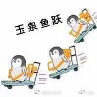 剑网三里情缘的意思,剑网三玩家恩怨情仇的故事