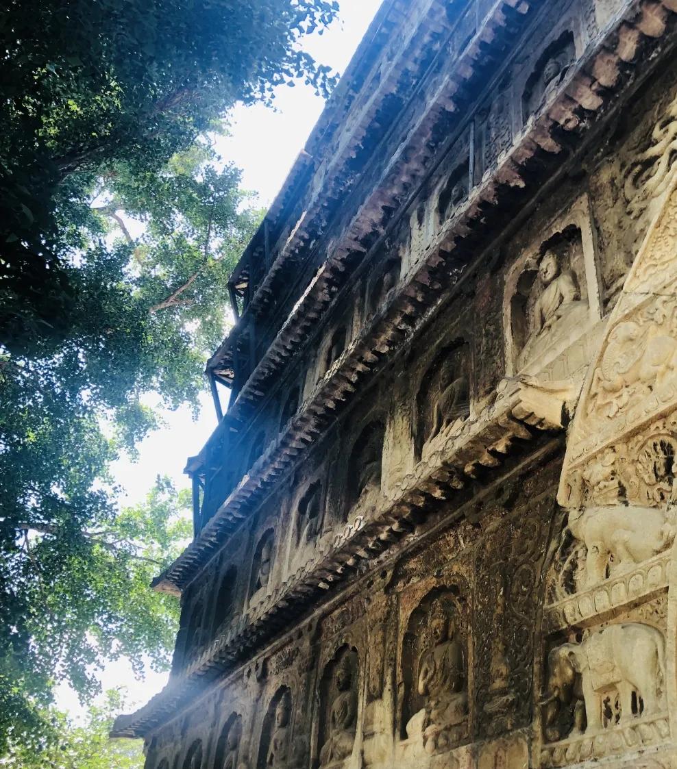 大先生先进事迹,大先生的发家史告诉我们什么道理