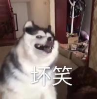 清洁面膜排行榜第一名真实测评,全网最真实面膜测评