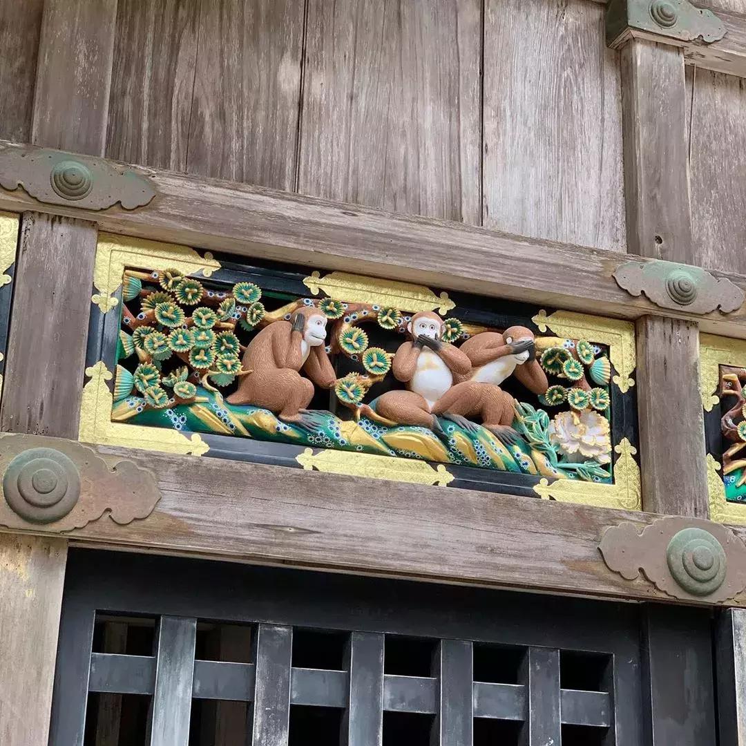 日本东京旅游攻略小众景点,日本东京小众旅游攻略