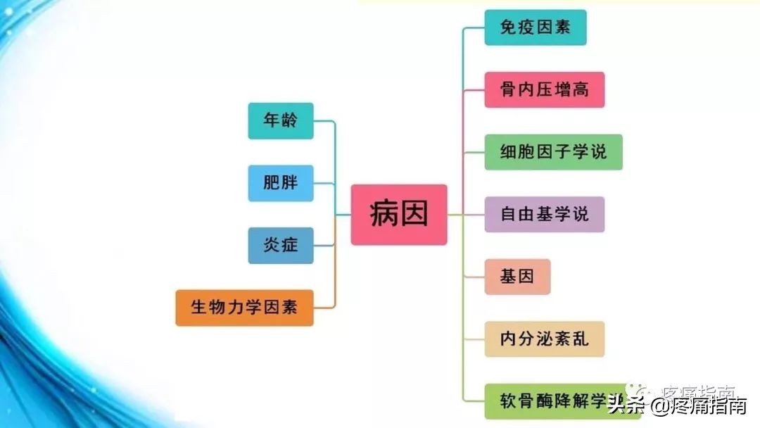 膝骨性关节炎中医辨证,膝关节骨性关节炎诊疗指南