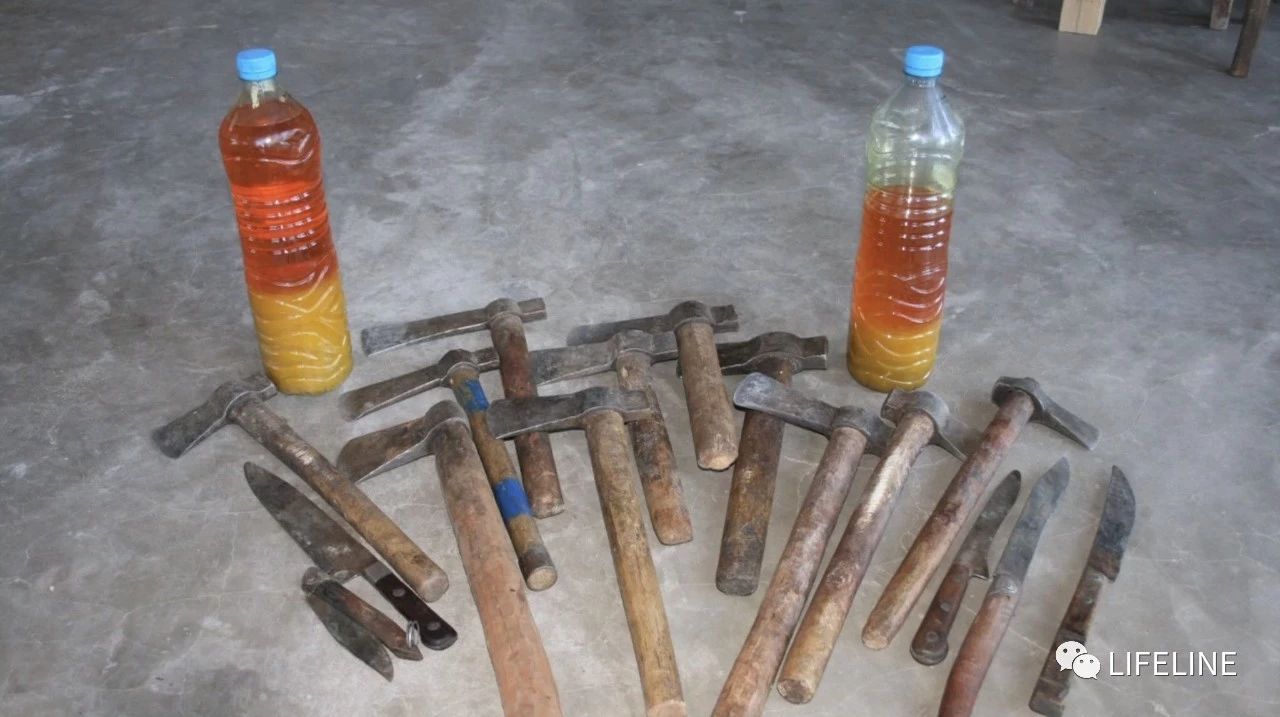 龟中“考拉”，请别让我们的孩子在博物馆见到它们...