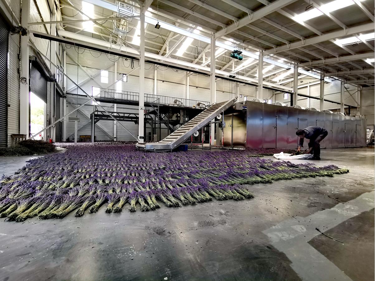 娼嶅潑鐢佃鍙伴煩鏅撶劧,闊╂檽鐒舵綅鍧婁富鎸佷汉