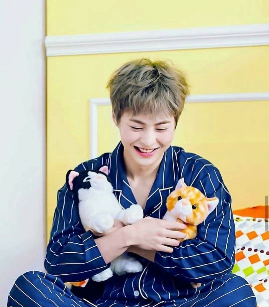 exo金珉锡一步跨全团,exo金珉锡在队伍里是什么位置