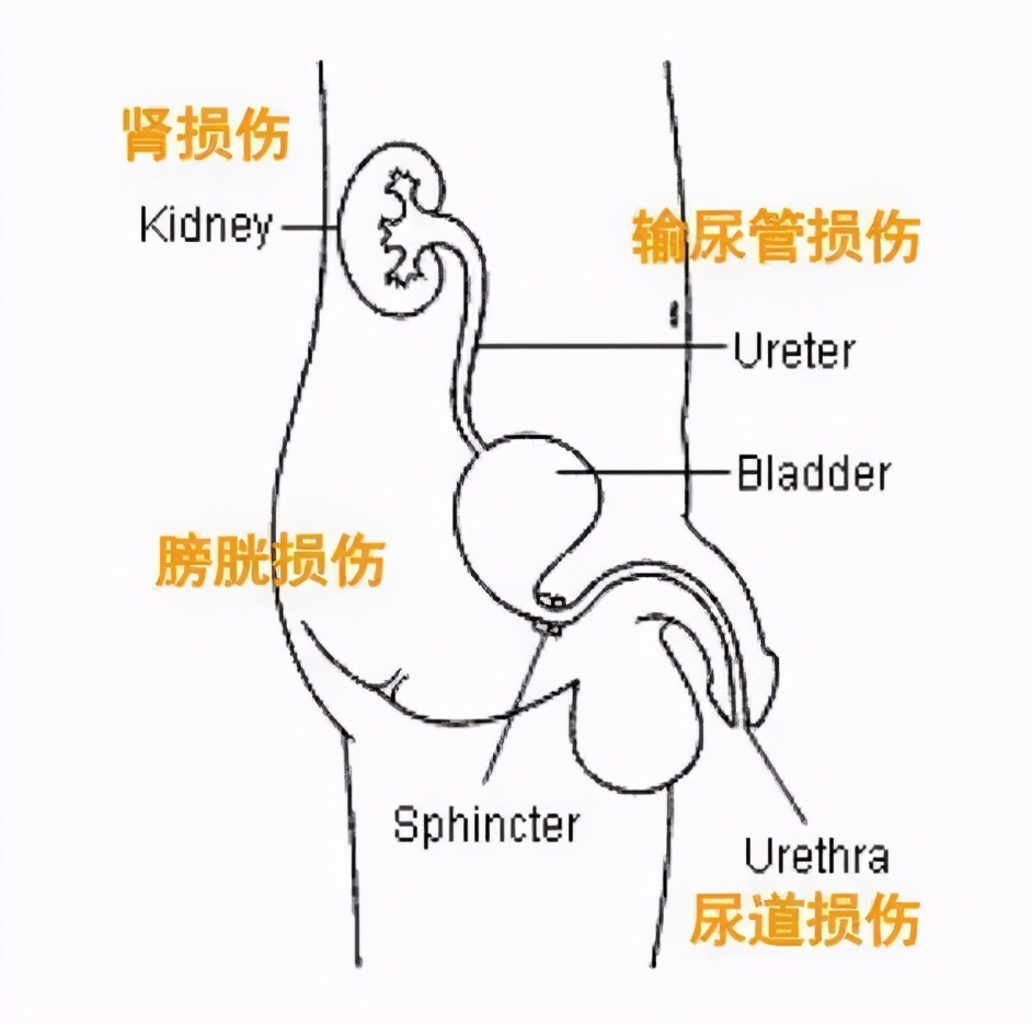 疫情期间门诊危急重症病人处置,疫情紧急救援视频惊心动魄