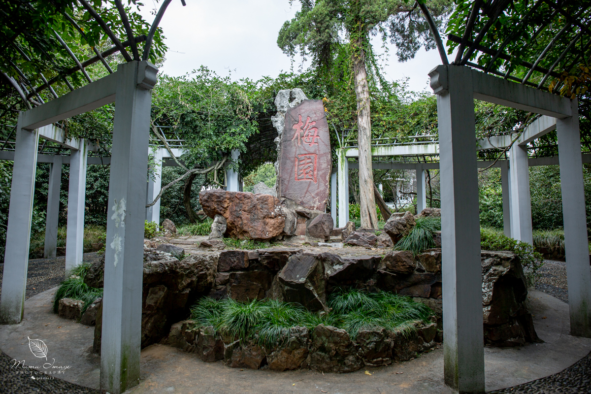 江南百年园林,江南私家园林所蕴含的人文情怀