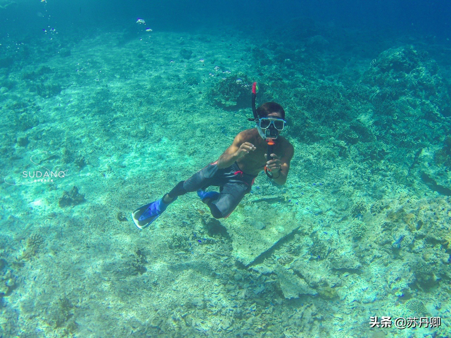 潜水多危险,自由潜水极限运动危险程度