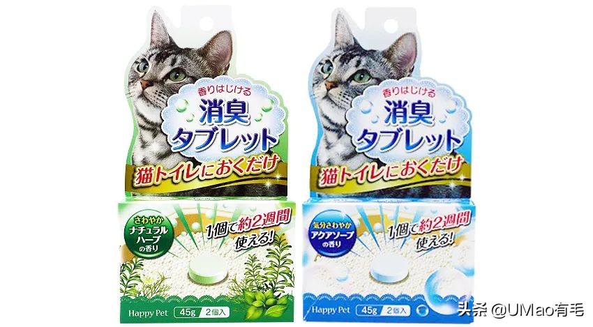 为什么养猫和想象中的不一样,为什么养猫比对自己的父母还好呢