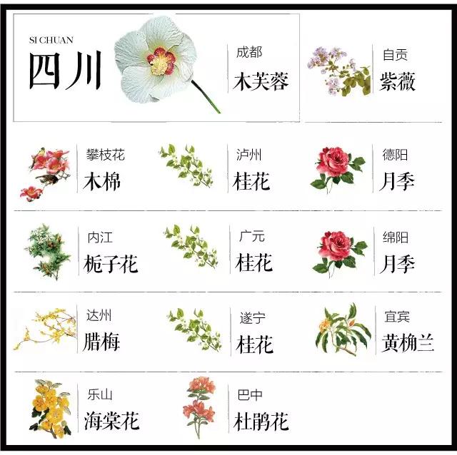 全国各个城市的市花一览表,十大城市的市花