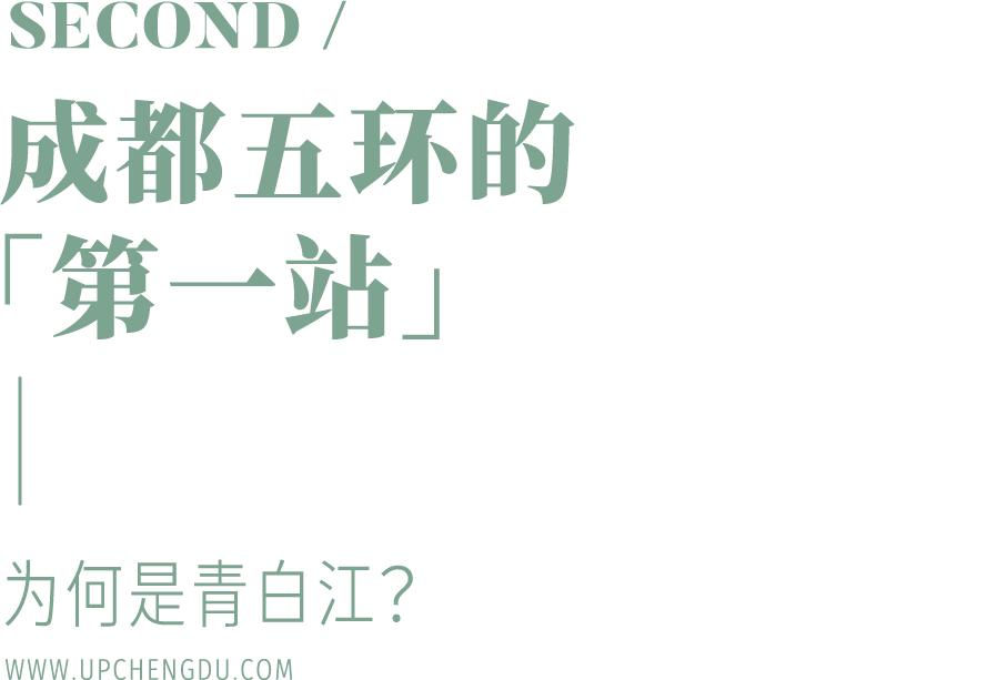 为什么说读懂红楼梦就读懂了人生,为什么说读懂了春秋就懂了当下