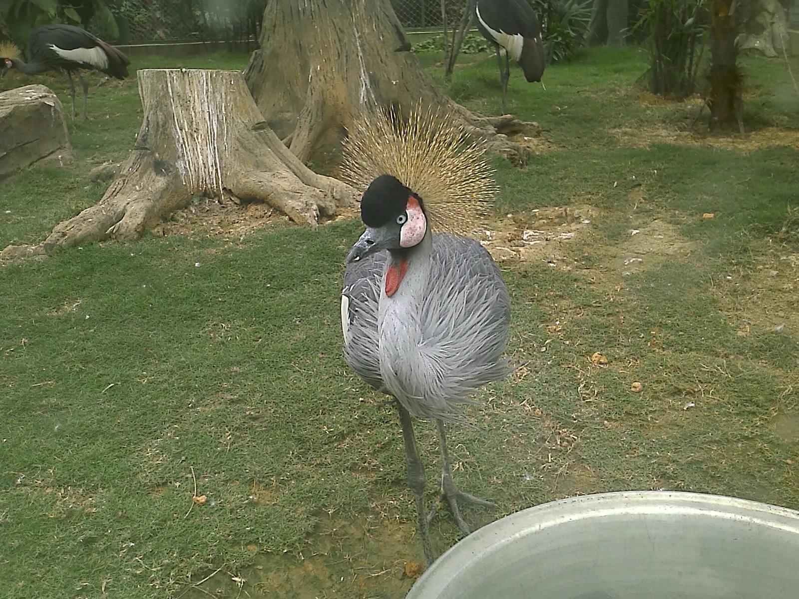 曾经特别火的拍照手机,那些年的拍照手机
