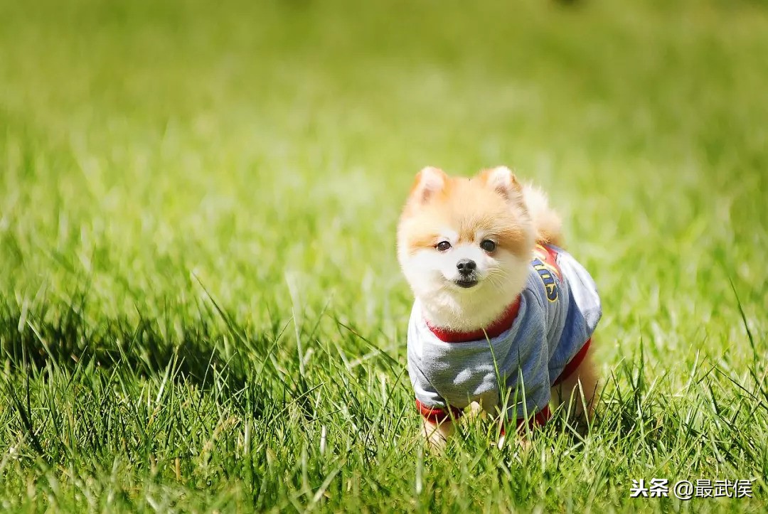 成都批发市场哪里最便宜,成都哪里有批发便宜货的