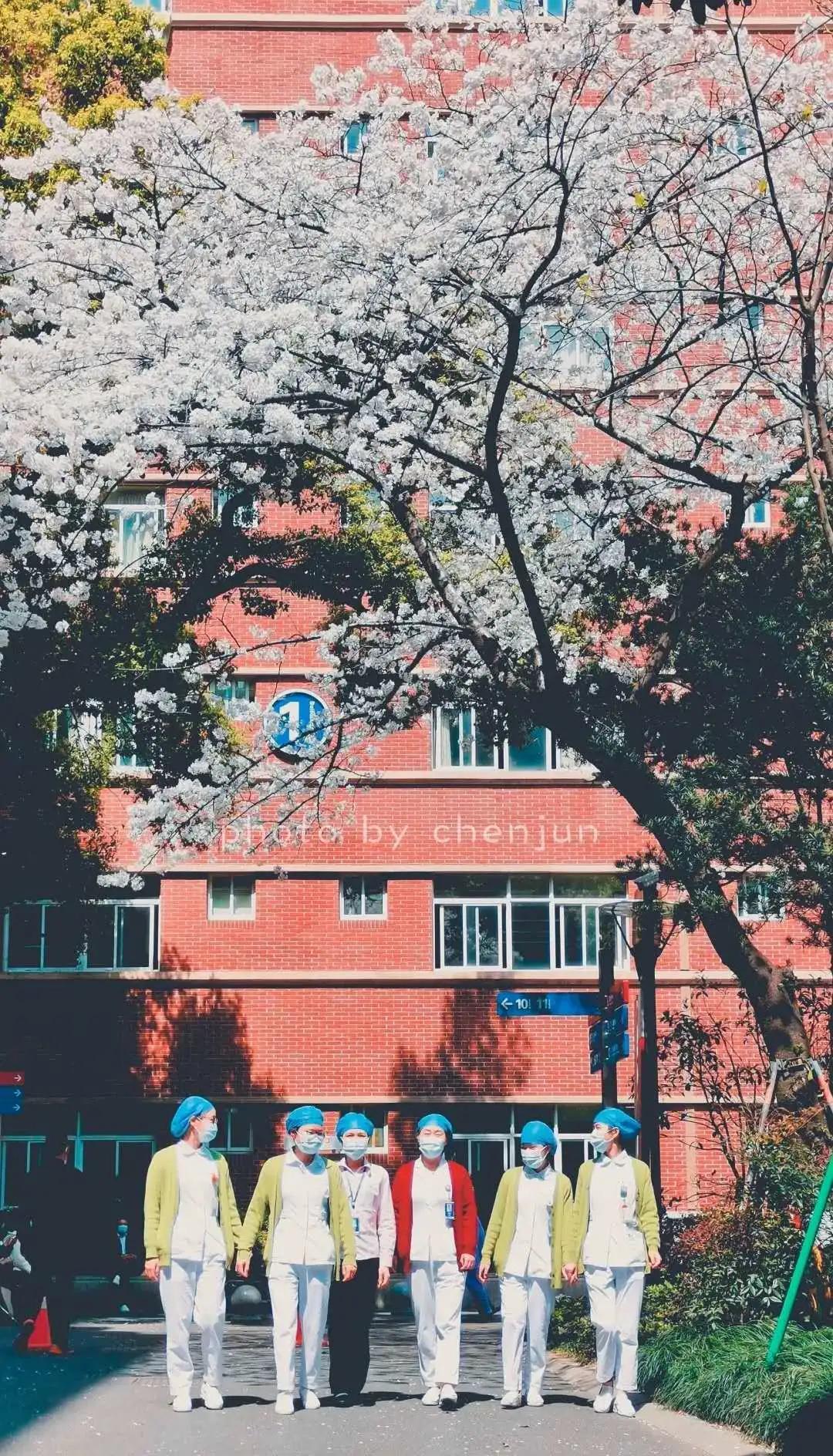 浙二互联网问诊量增35倍！隐形杀手超越浓硫酸|广济一周