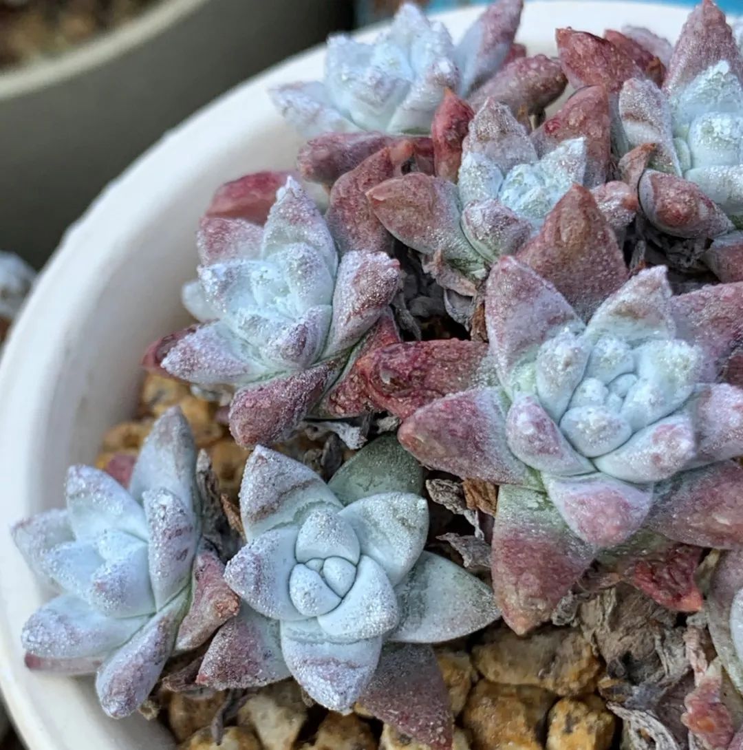 禁足的日子收获颇多,禁足