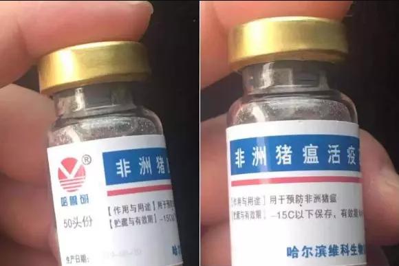 “非瘟疫苗”假货泛滥，养猪人深受其害，已有猪场被清场