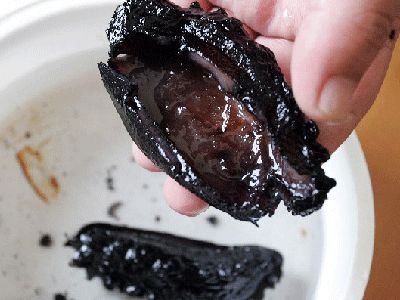 海参野生鉴别,海参如何鉴别含不含激素