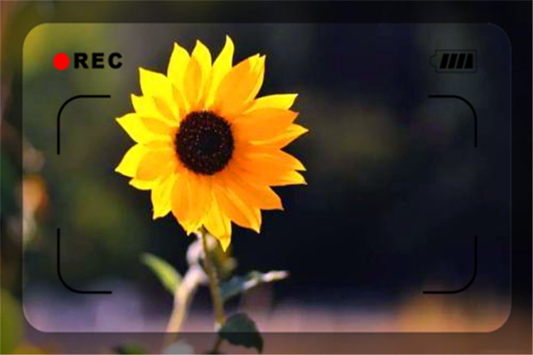 没钱没人脉怎么改变自己命运,没有背景没有人脉如何改变命运