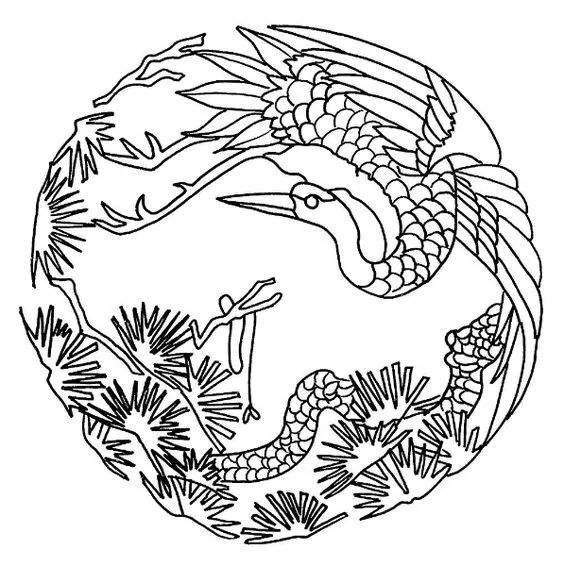 画画入门教程干货博主,基础入门画画必知