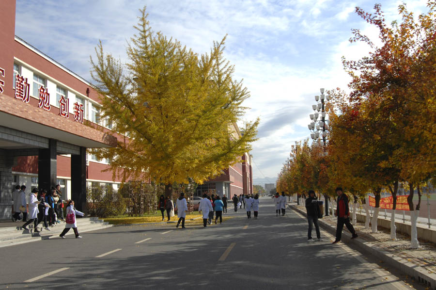 营口鲅鱼圈学府,沈阳营口农业职业技术学院