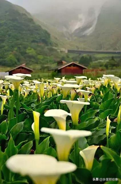 惊艳,百年罕见的绝世美照