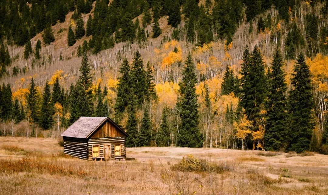 乡村旅游发展得起来吗,乡村旅游助推乡村振兴与扶贫