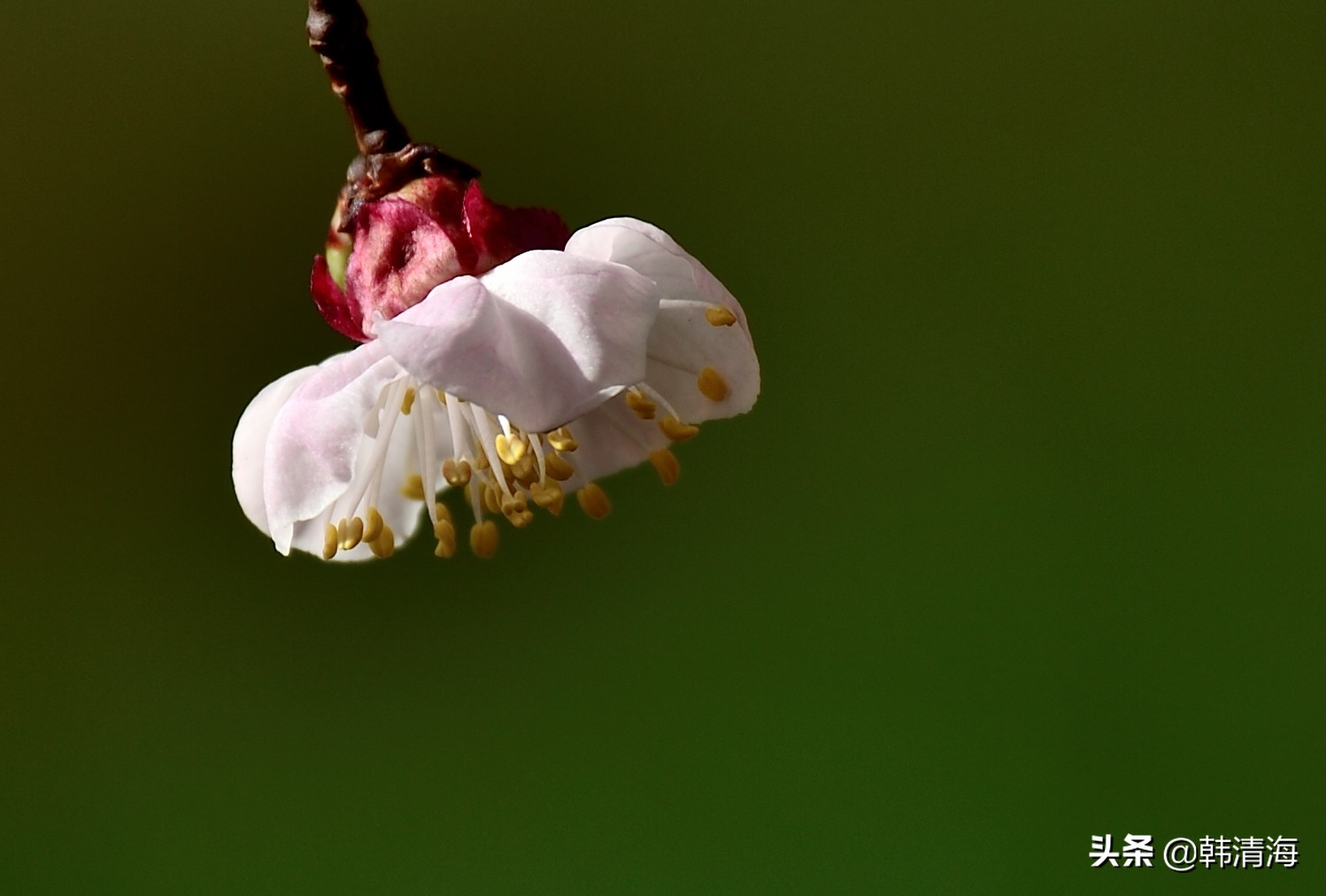 天津市南开区水畔花园简介,天津南开水畔花园洋房