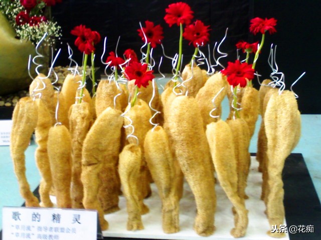 丝瓜养花,老丝瓜籽千万别扔11种用途