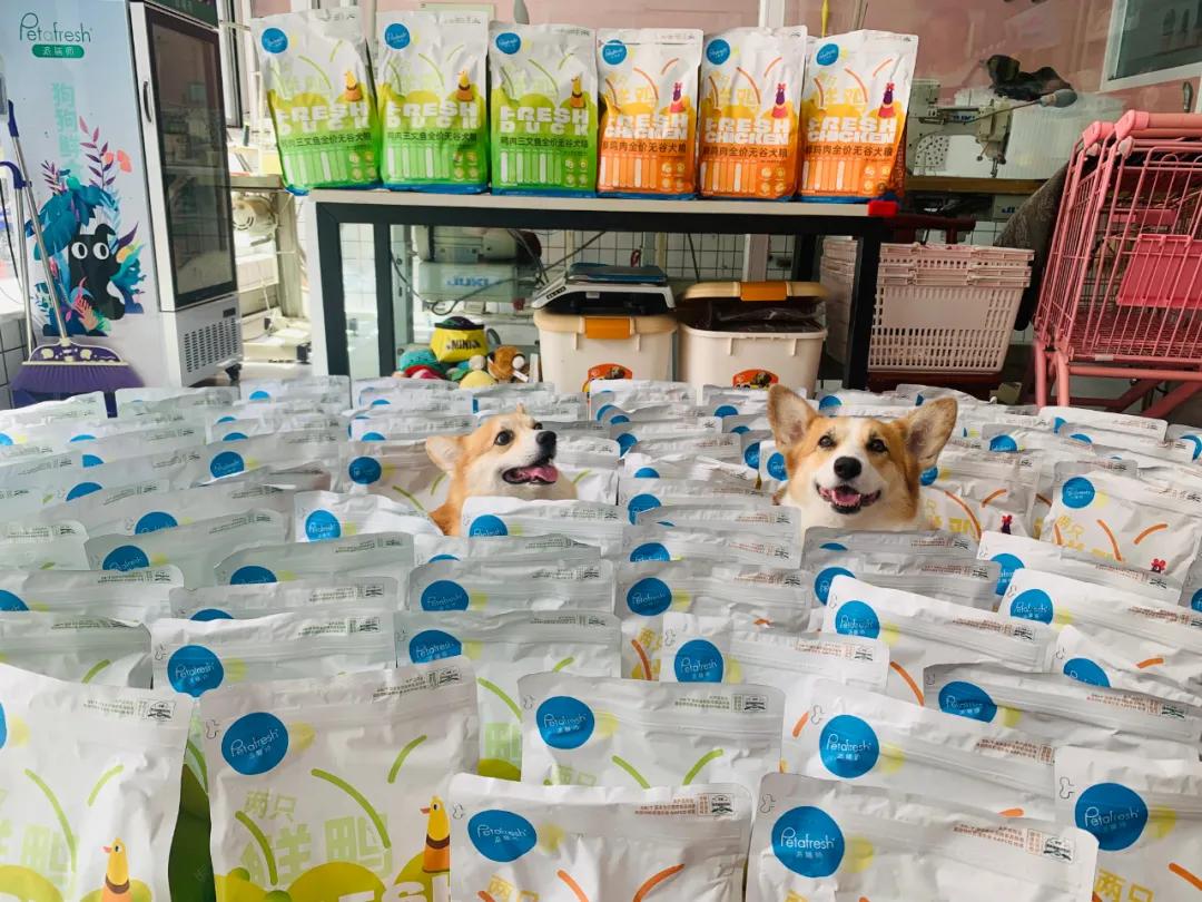 派膳师犬粮,派膳师犬粮10kg