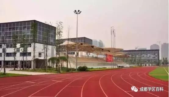 成都锦江四区学区分析,成都学区百科40强