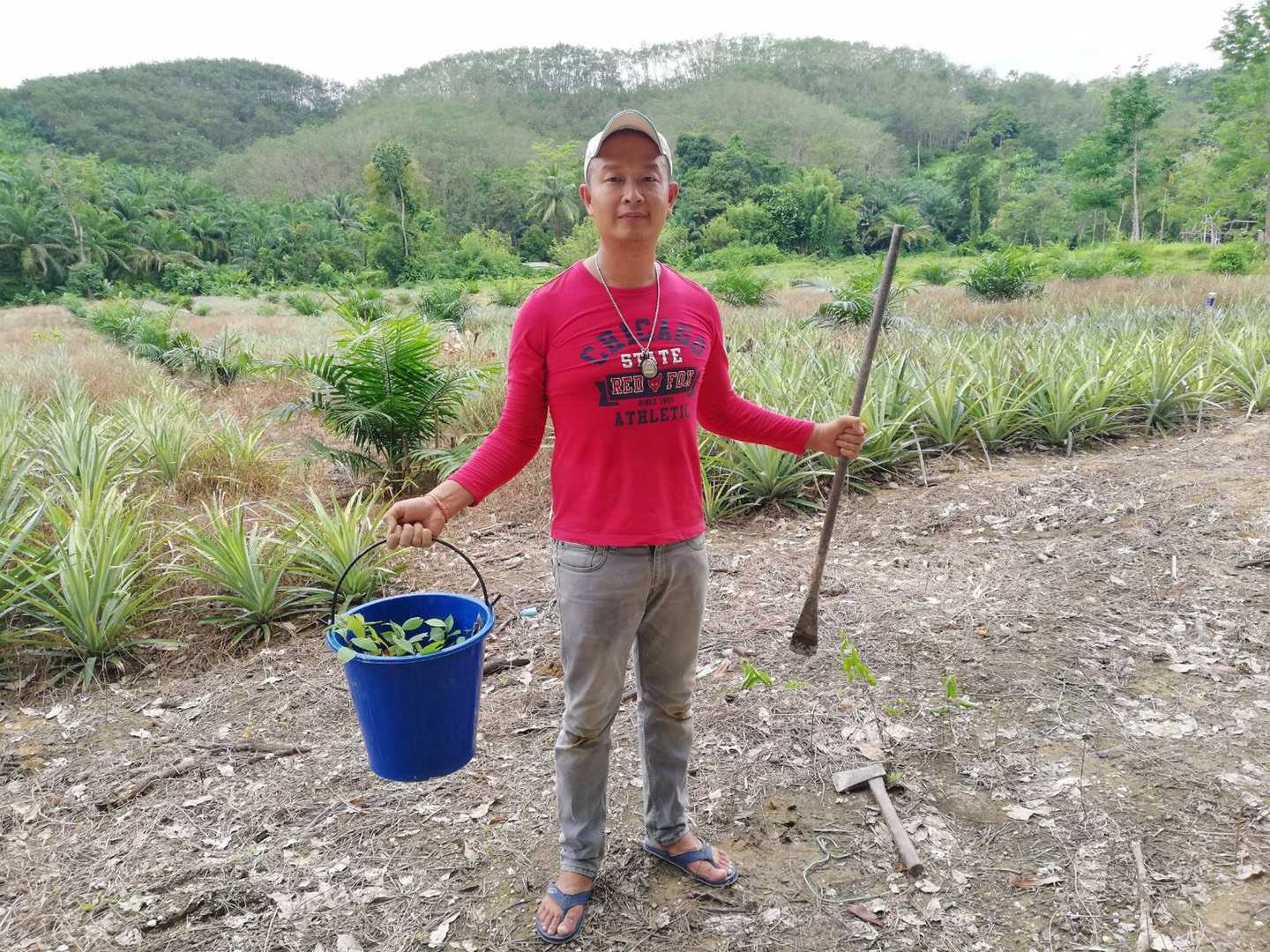 泰语说萨瓦迪卡时怎么回复,萨瓦迪卡泰语怎么说出那种感觉