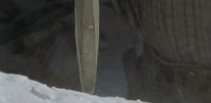 面纱掩盖着的，是一个少女的贞洁，也是整个帝国的命运