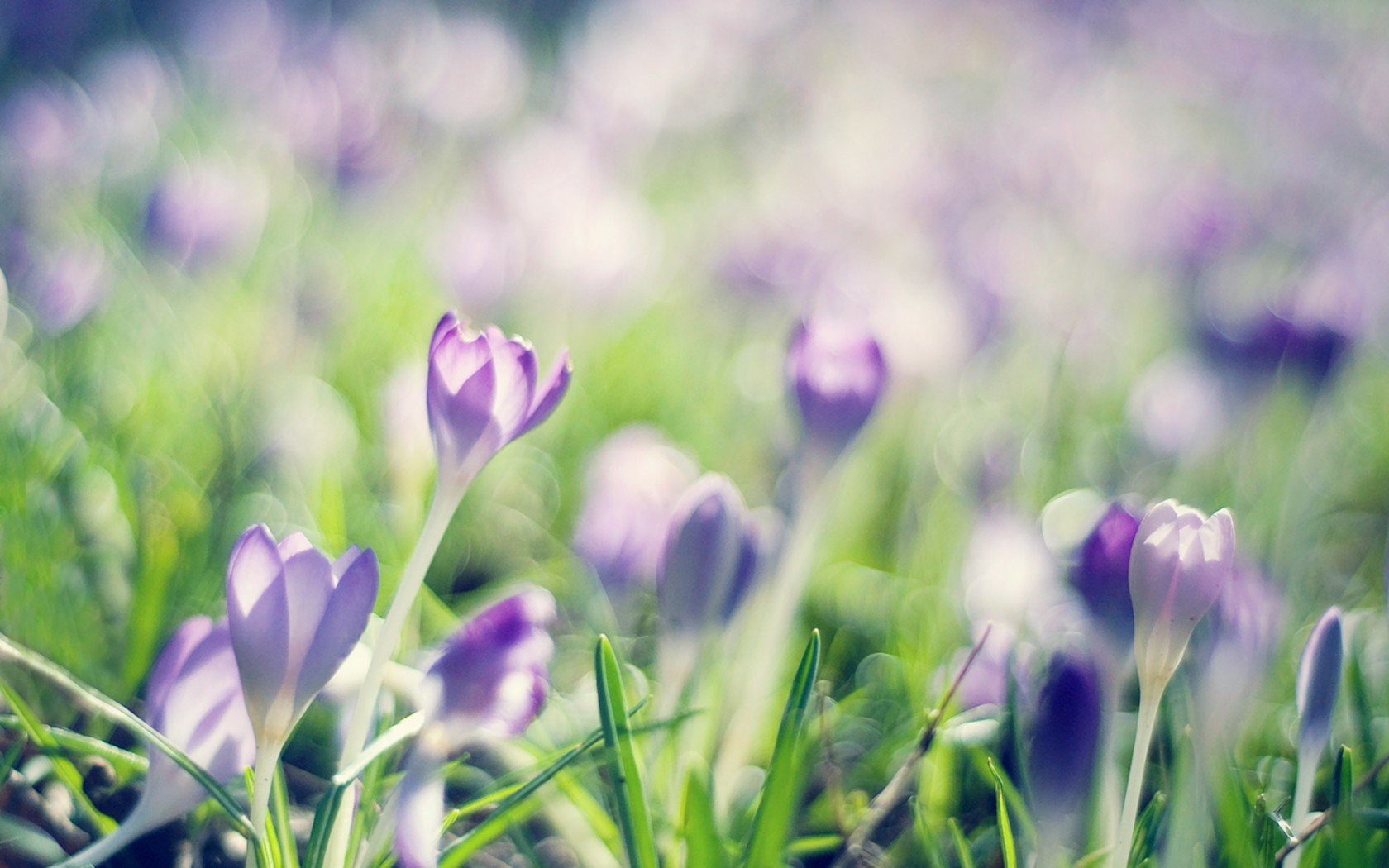 孕期发现感染hpv高危,备孕期间发现hpv怎么办