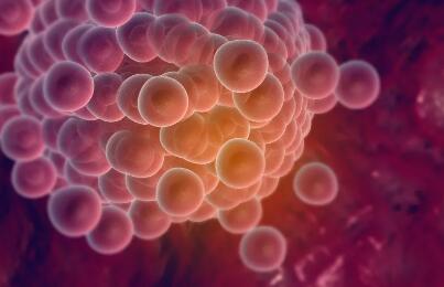 做试管婴儿多长时间就知道成功了,做试管婴儿有哪些主要花费