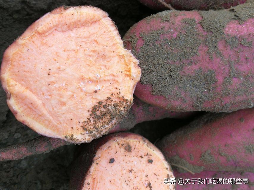 中国哪个地方产的红薯最好吃,红瑶红薯和玛丽莎红薯哪个品种好