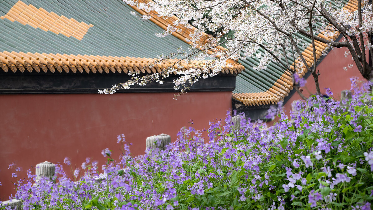 100种常见园林图鉴,列举20类不同的园林花卉