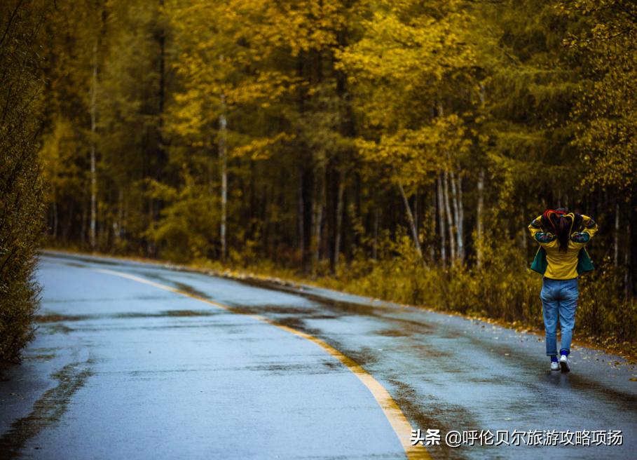 游呼伦贝尔大草原作文游览顺序,呼伦贝尔大草原游览视频