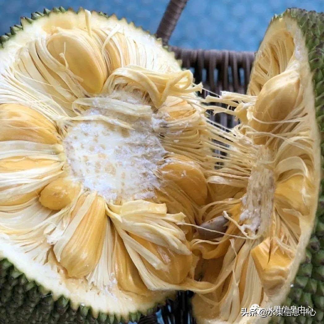 海南水果都有哪些品种图片及名称,海南水果上市时间表赶快收藏吧