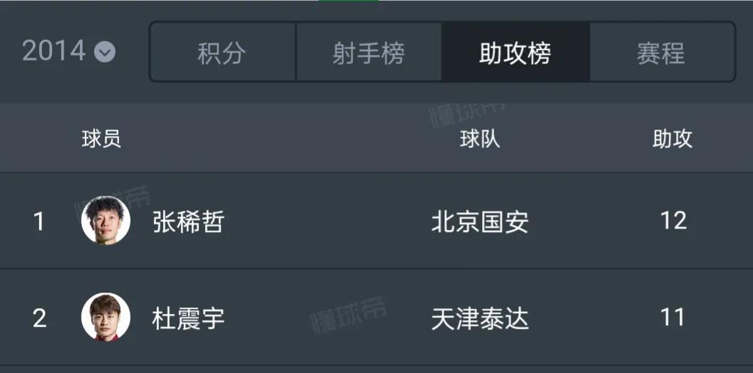 张稀哲国足比赛回顾,张稀哲国足简介