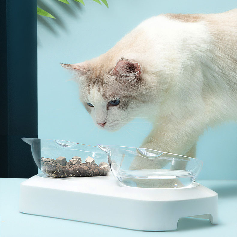 猫咪尿血的原因及解决方法,猫咪尿闭好了后尿血