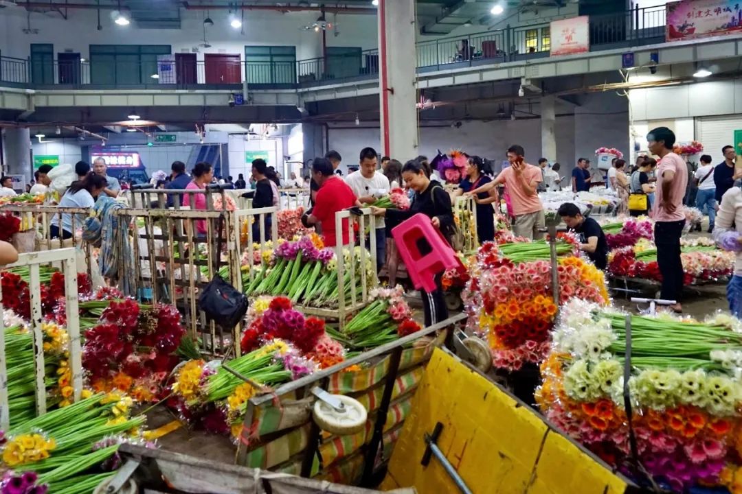 玫瑰花10支批发高原红,最好看的鲜花批发市场