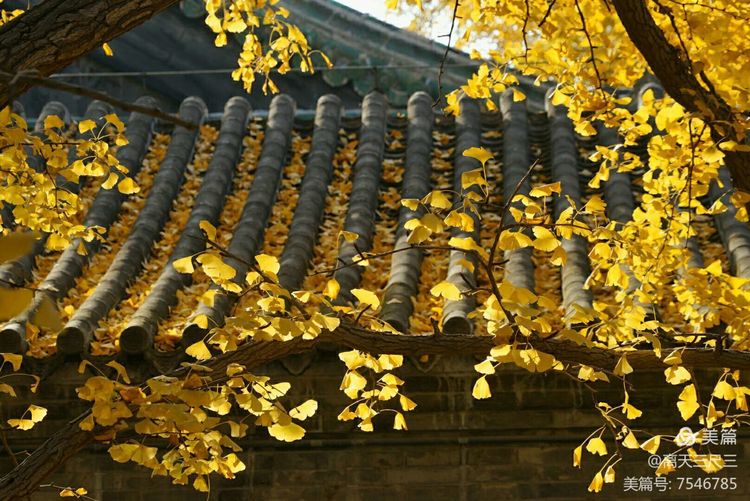 玉泉山北坞公园介绍,北坞村玉泉山