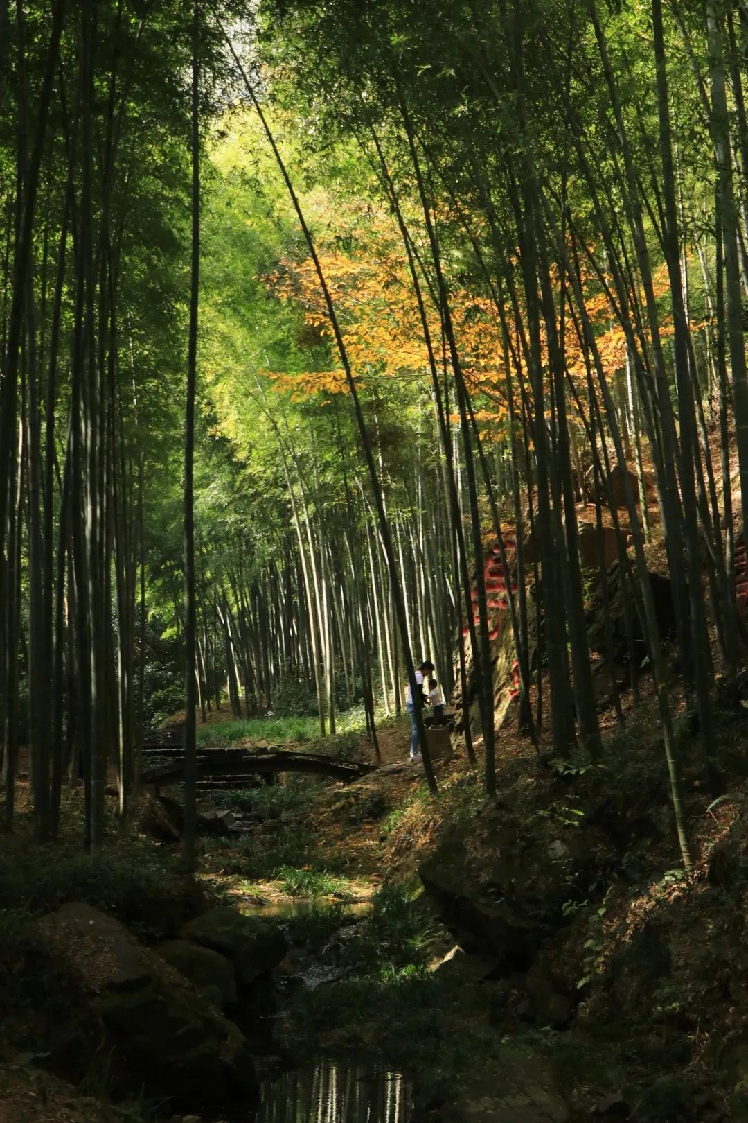江浙沪天然温泉度假村排名榜,江浙沪温泉最好的地方排名