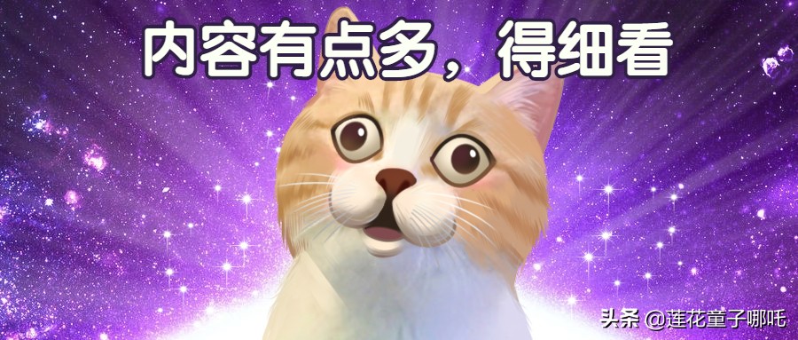 缓存架构,缓存结构