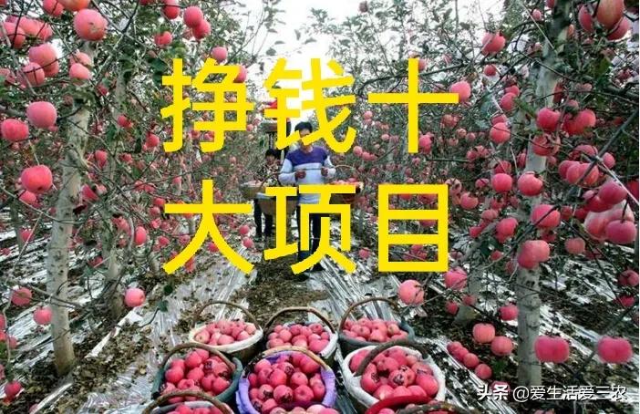 农村办厂致富项目室内装修,农村小项目致富项目